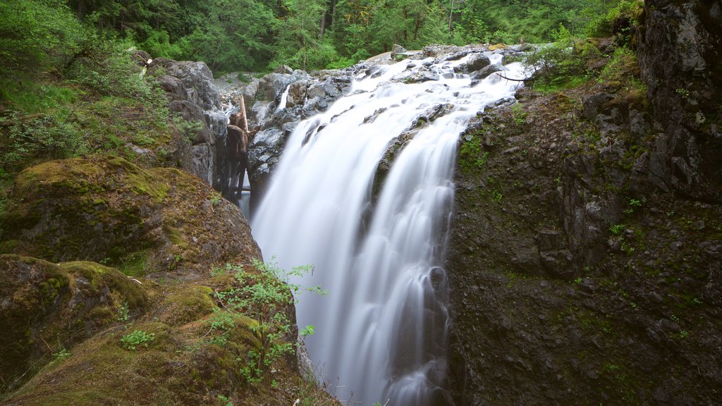 Englishman River Falls Provincial Park featuring a cascade