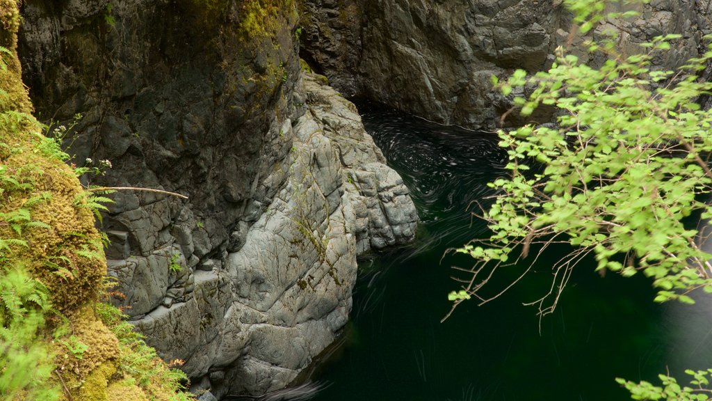 Taman Provinsi Englishman River Falls menampilkan danau