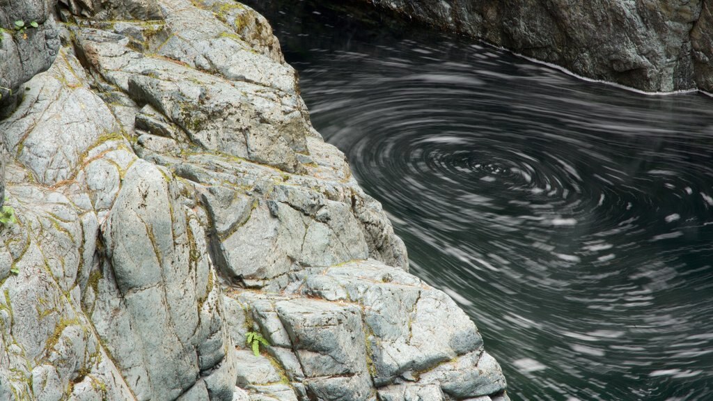 Englishman River Falls Provincial Park showing a lake or waterhole