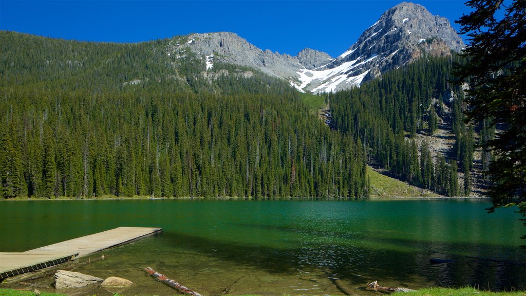 Top of the World Provincial Park which includes tranquil scenes, a lake or waterhole and forests