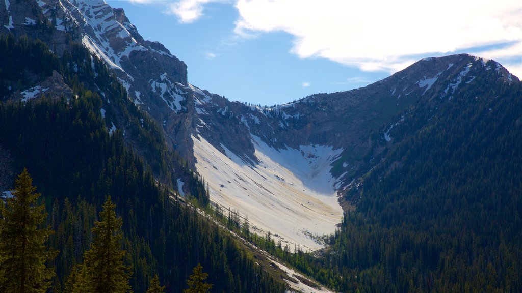 Top of the World Provincial Park featuring tranquil scenes, mountains and snow