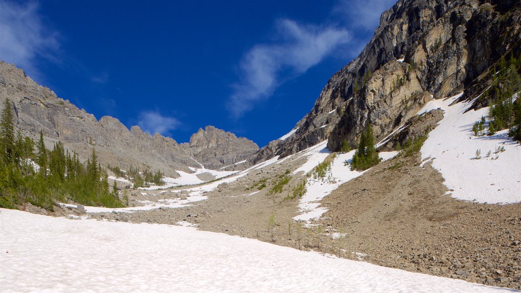 Top of the World Provincial Park which includes snow, mountains and tranquil scenes