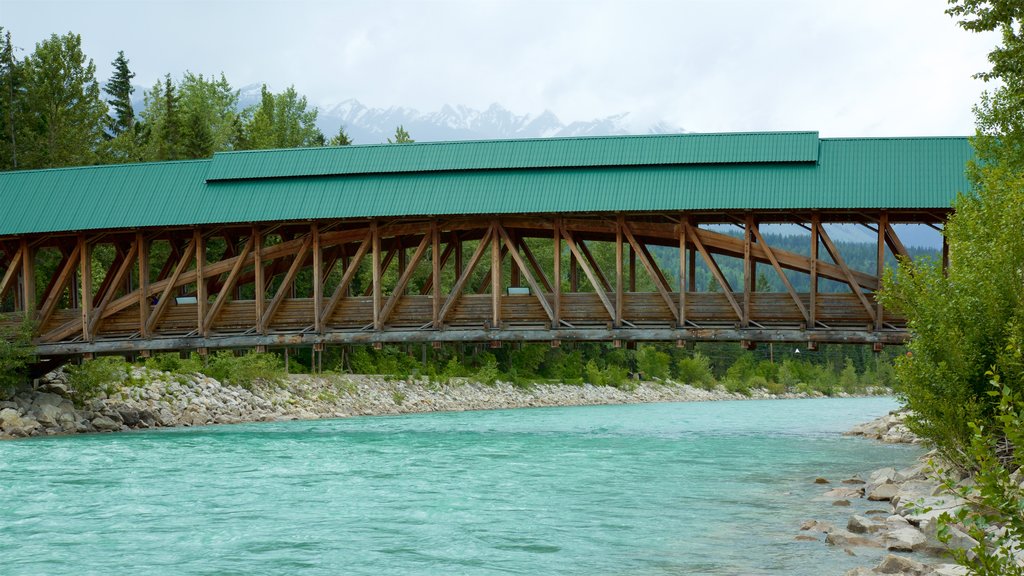 Kicking Horse Pedestrian Bridge inclusief een brug en een rivier of beek