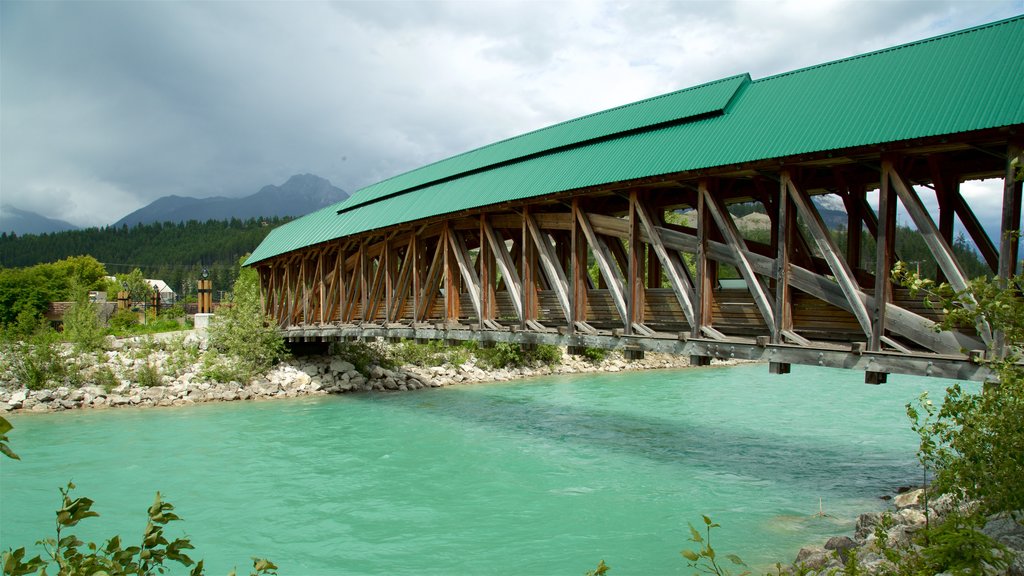 Kicking Horse Pedestrian Bridge featuring a bridge and a river or creek