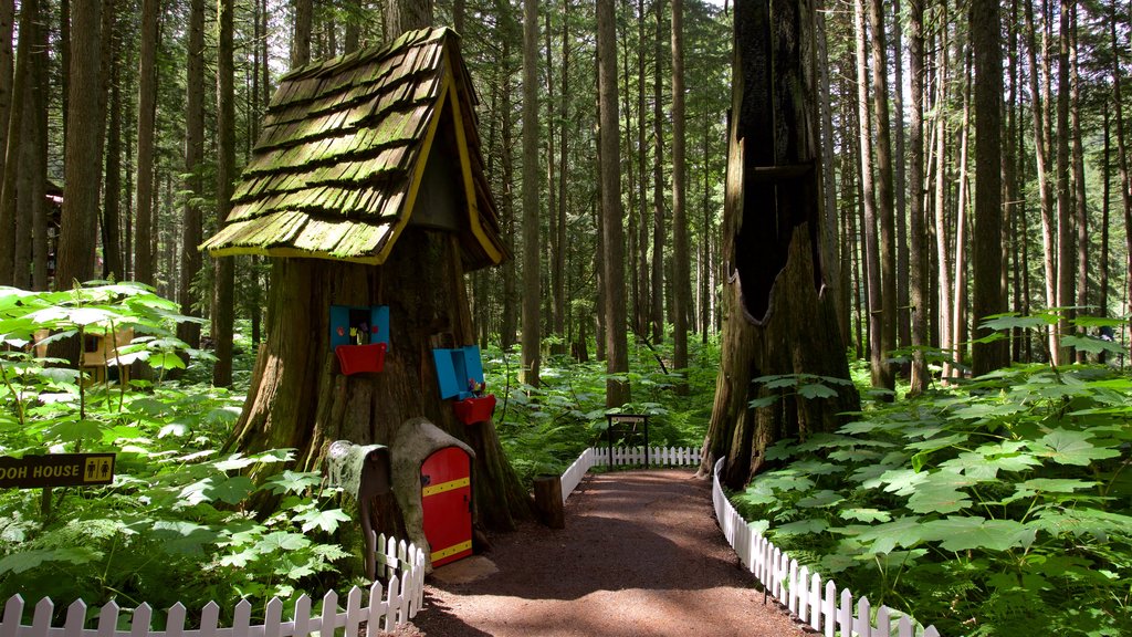 Forêt enchantée montrant paysages en forêt