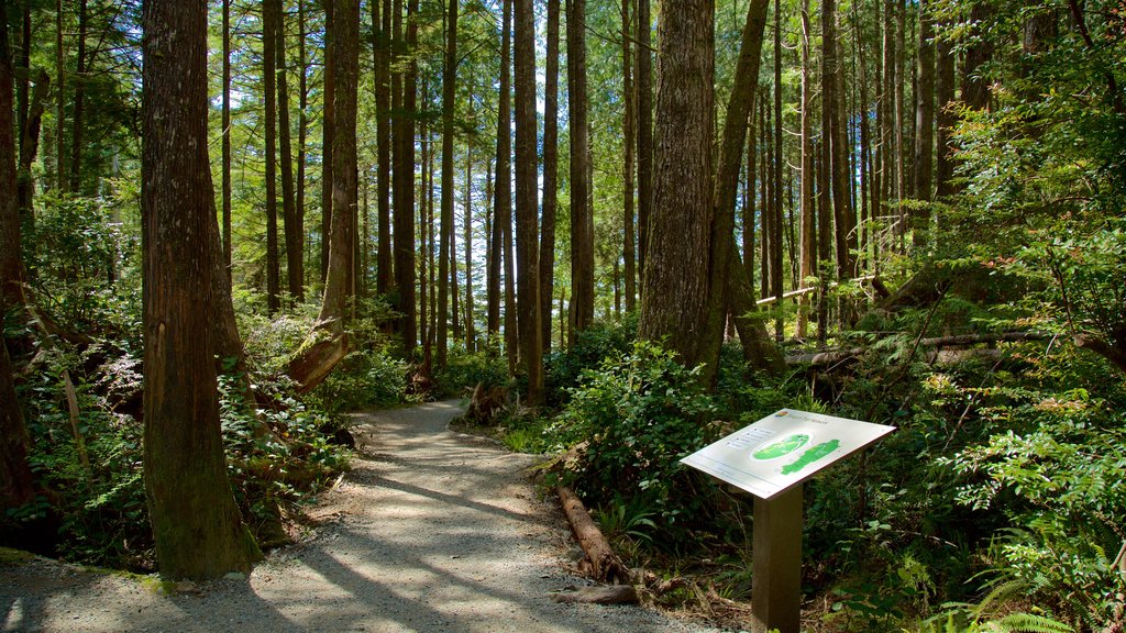 Tonquin Park mostrando bosques y señalización