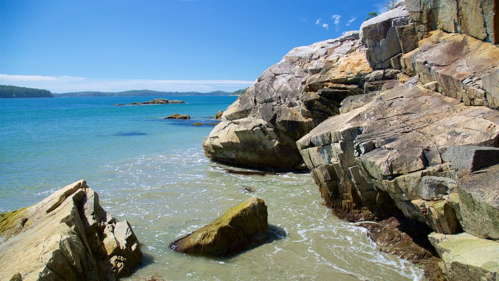 Tonquin Park showing general coastal views and rocky coastline