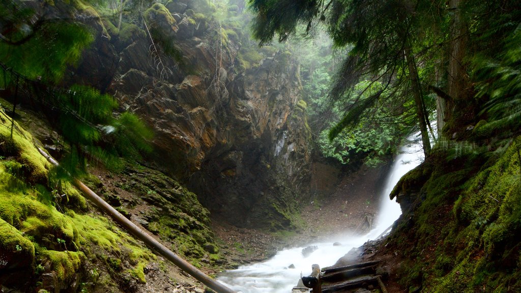 Kaslo mostrando una cascada, bosques y rápidos