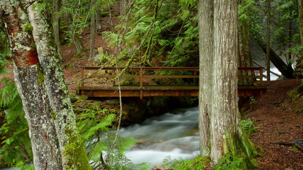 Kaslo which includes rapids, forests and a bridge