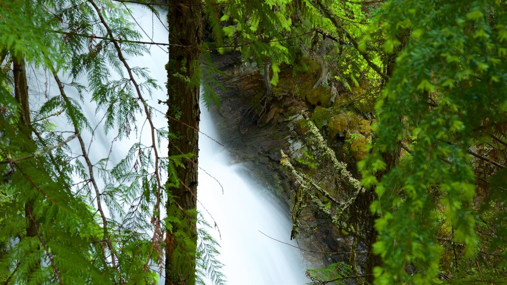 Kaslo que inclui uma cachoeira