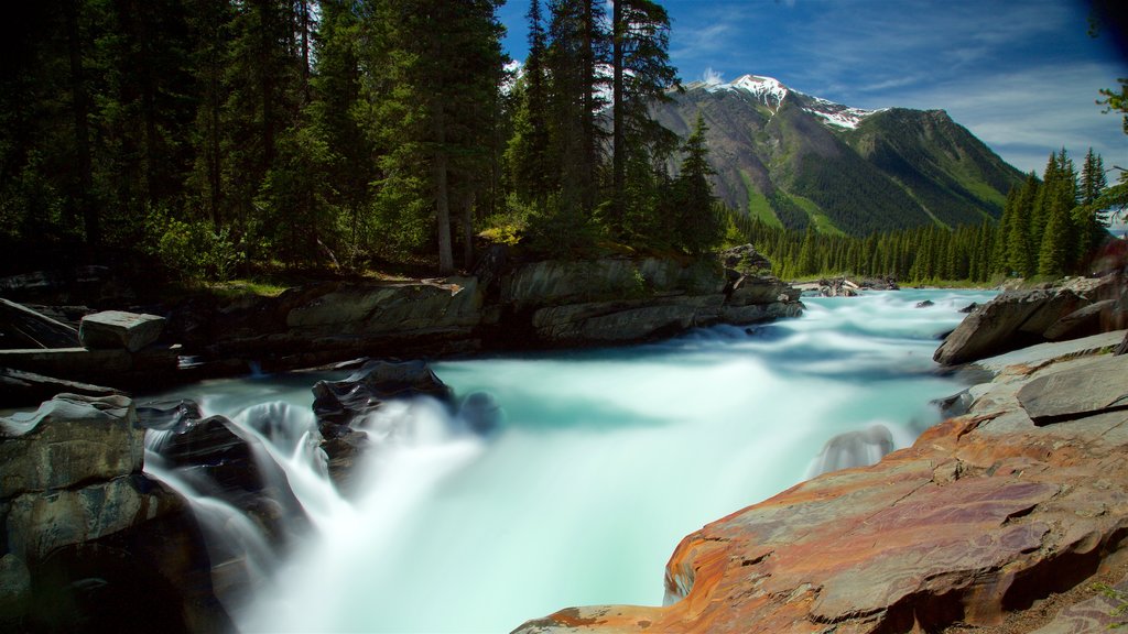 Kootenay National Park featuring tranquil scenes, rapids and forests