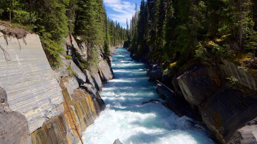 Nationaal park Kootenay inclusief stroomversnellingen