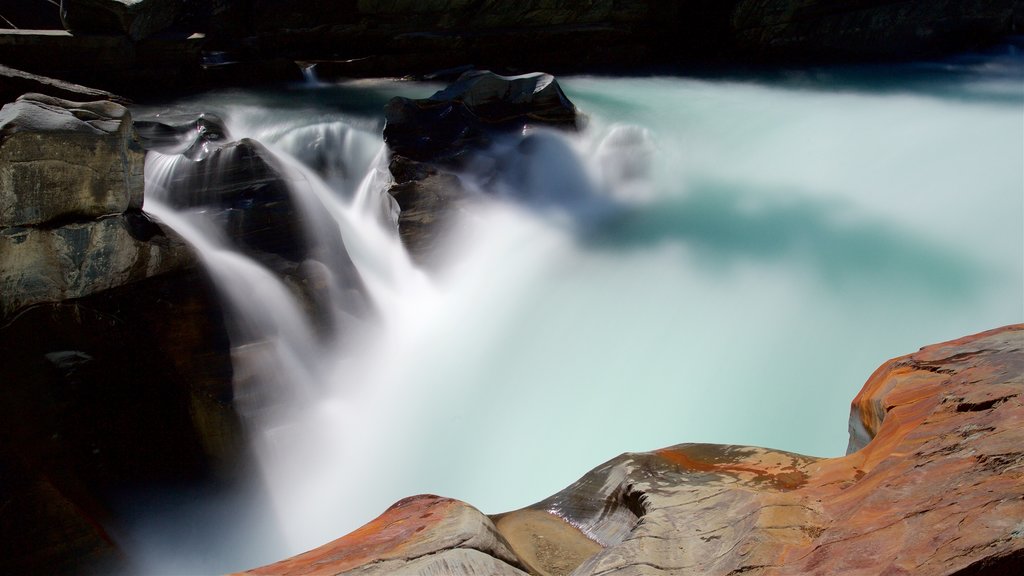 Nationaal park Kootenay toont een cascade