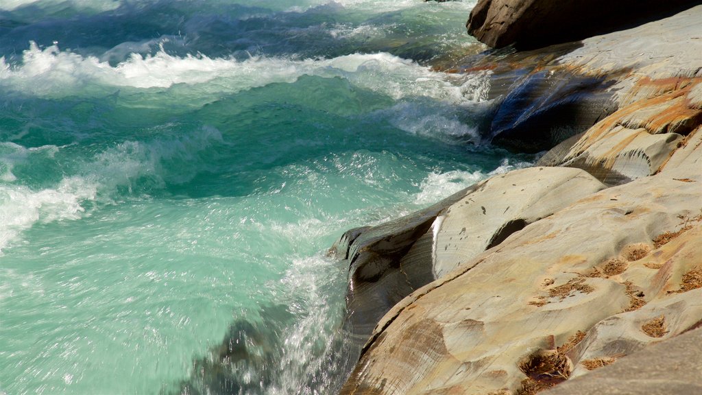 Kootenay National Park showing rapids