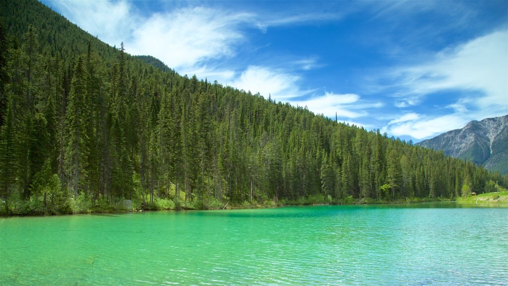 Kootenay National Park ofreciendo un lago o espejo de agua y escenas tranquilas