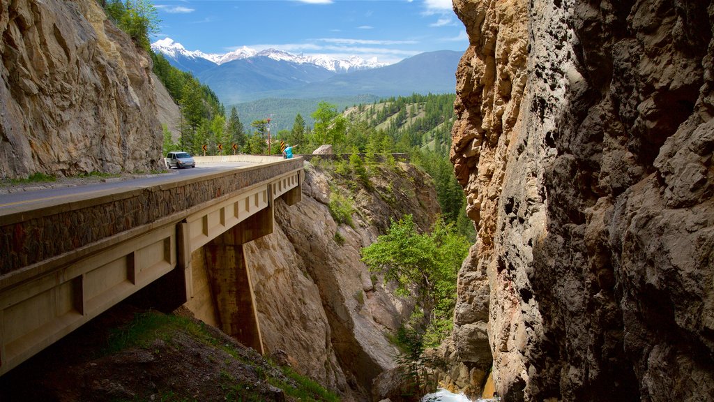 Kootenay National Park featuring a bridge and tranquil scenes