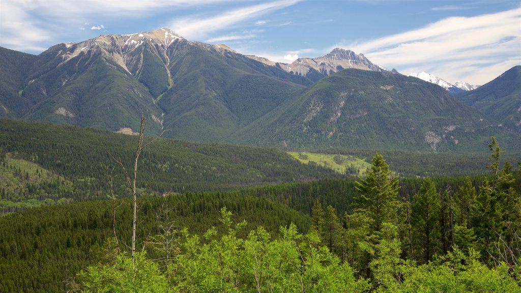 Parc national de Kootenay qui includes montagnes, paysages paisibles et paysages