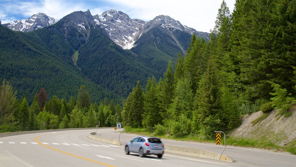 Parc national de Kootenay qui includes paysages paisibles, montagnes et paysages