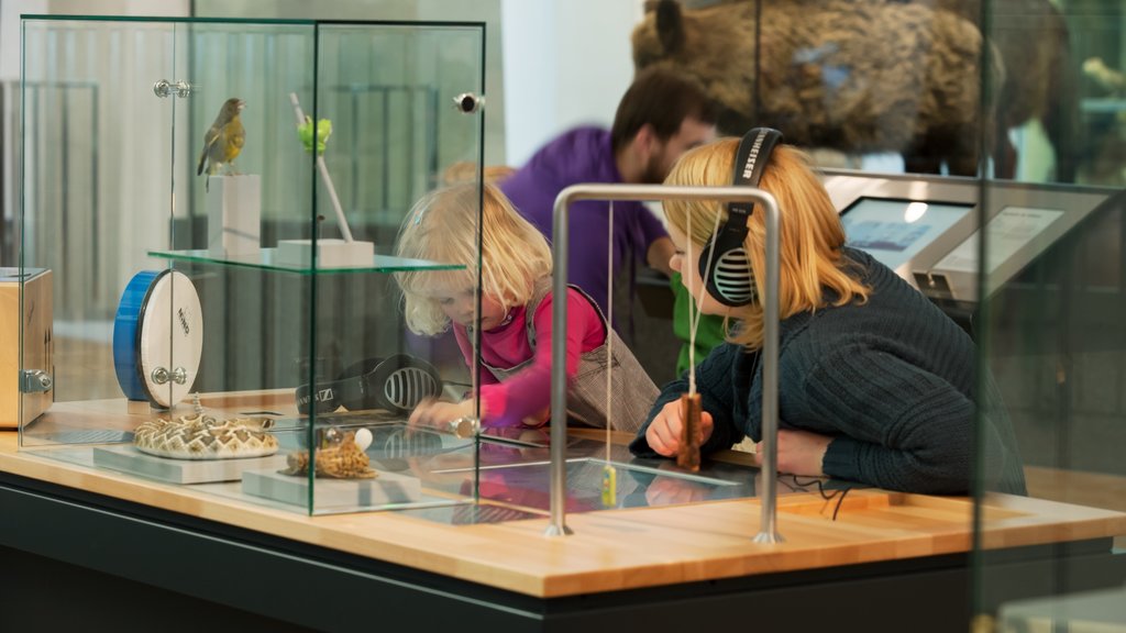 Museo Zoológico de Zúrich ofreciendo vista interna y también una familia