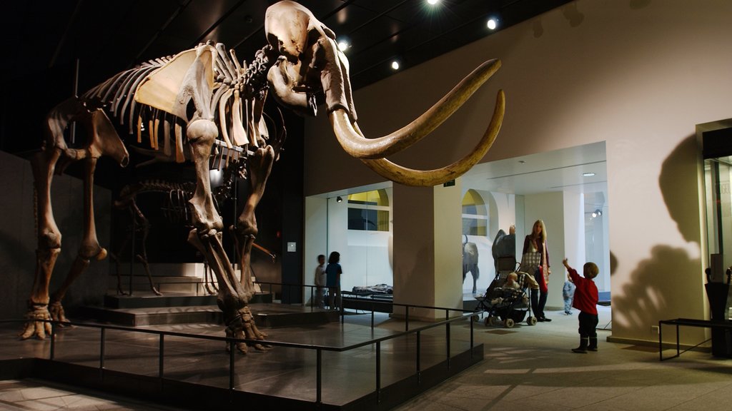 Zoölogisch Museum van Zürich toont interieur en historisch erfgoed en ook een gezin