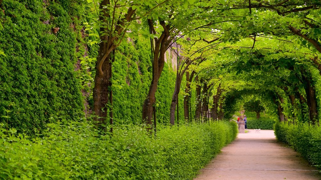 Wuerzburg Residence showing a garden