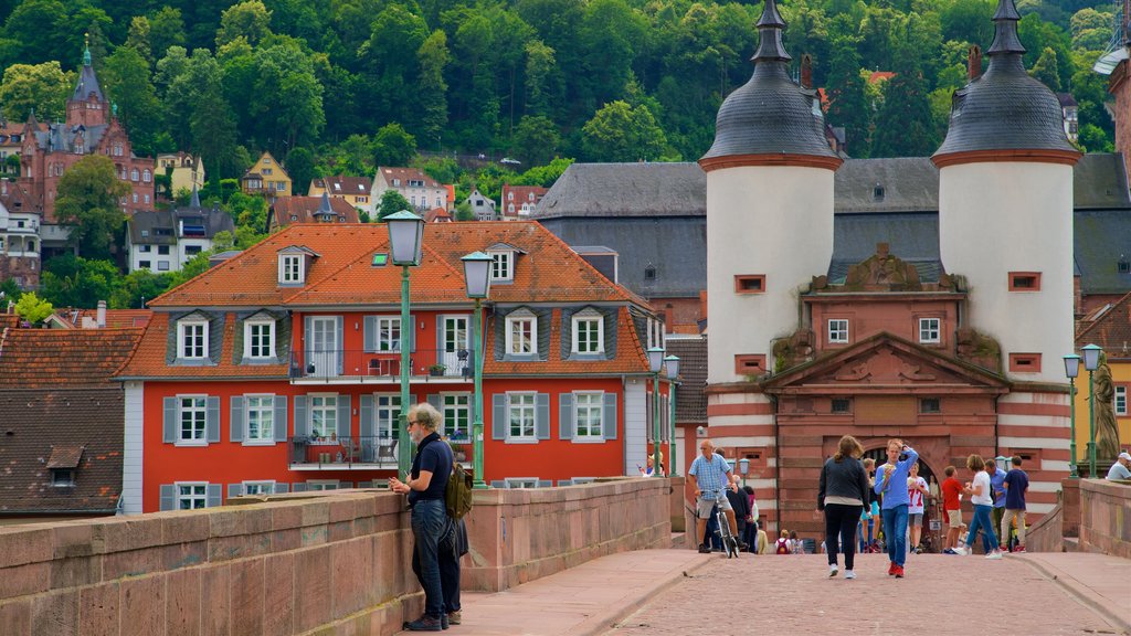 Karl Theodor Bridge which includes a bridge and heritage elements