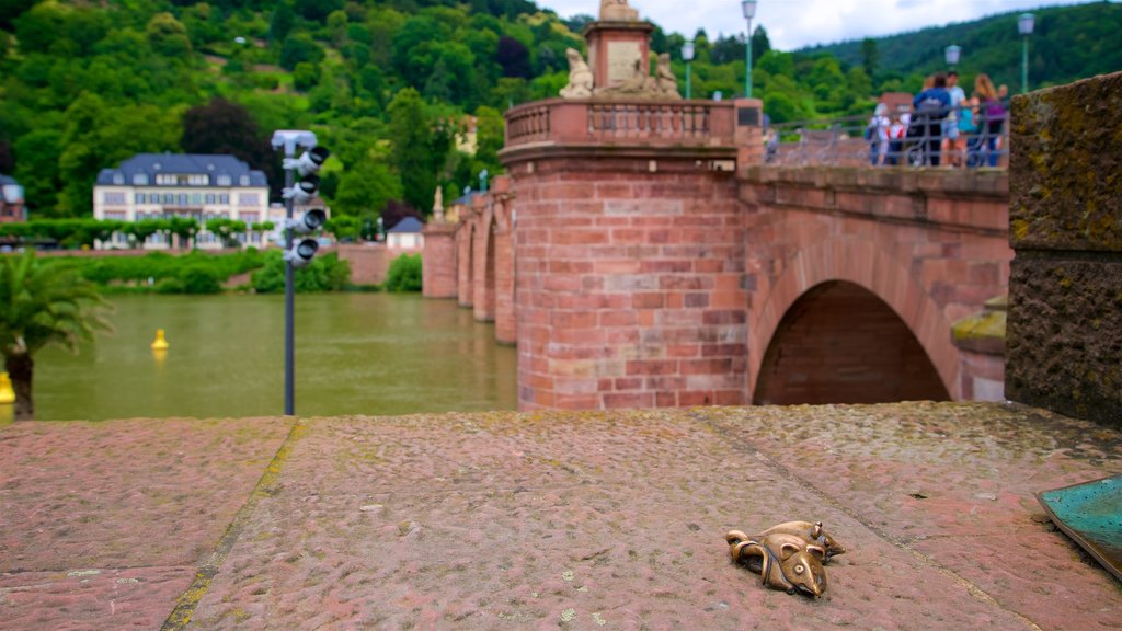 Karl Theodor Bridge showing a river or creek, heritage elements and a bridge