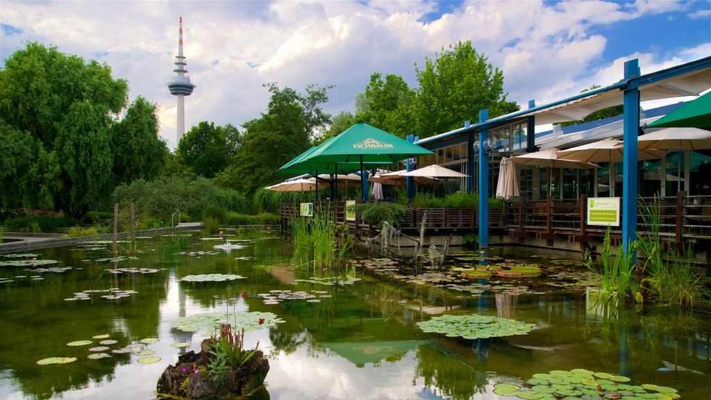 Luisenpark Gardens featuring a park and a pond