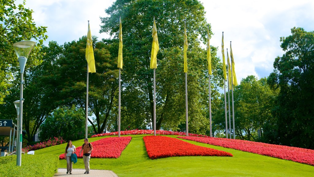 Luisenpark Gardens showing a park and wildflowers as well as a couple