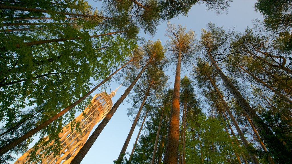 Keutschach am See showing forests and a sunset