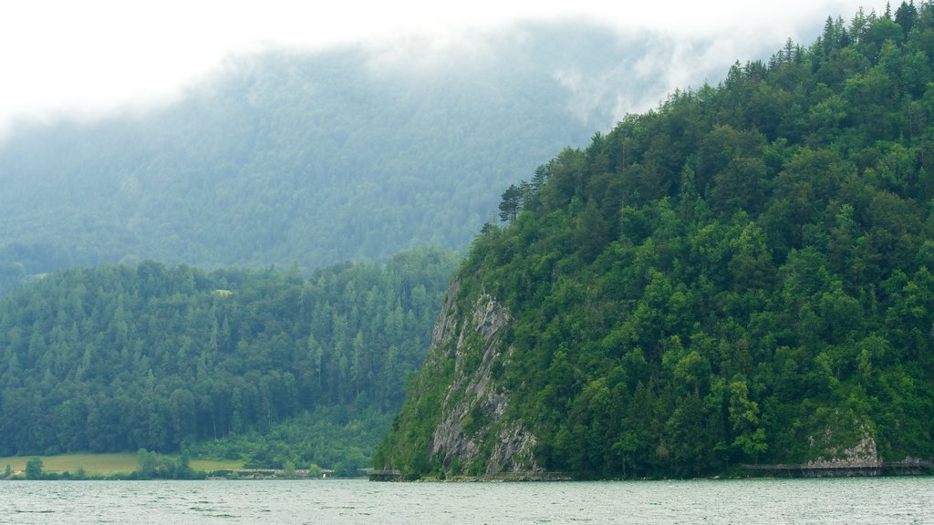 Strobl which includes mountains, tranquil scenes and mist or fog