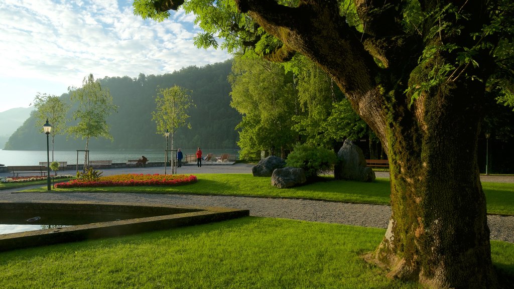 Strobl mostrando un lago o espejo de agua, flores y jardín