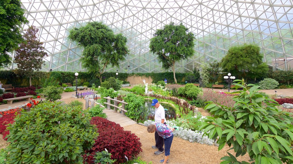 Mitchell Park Horticultural Conservatory caracterizando um parque, vistas internas e flores silvestres