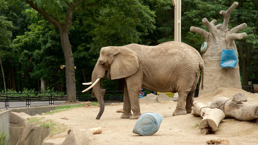 Zoológico de Milwaukee mostrando animais de zoológico