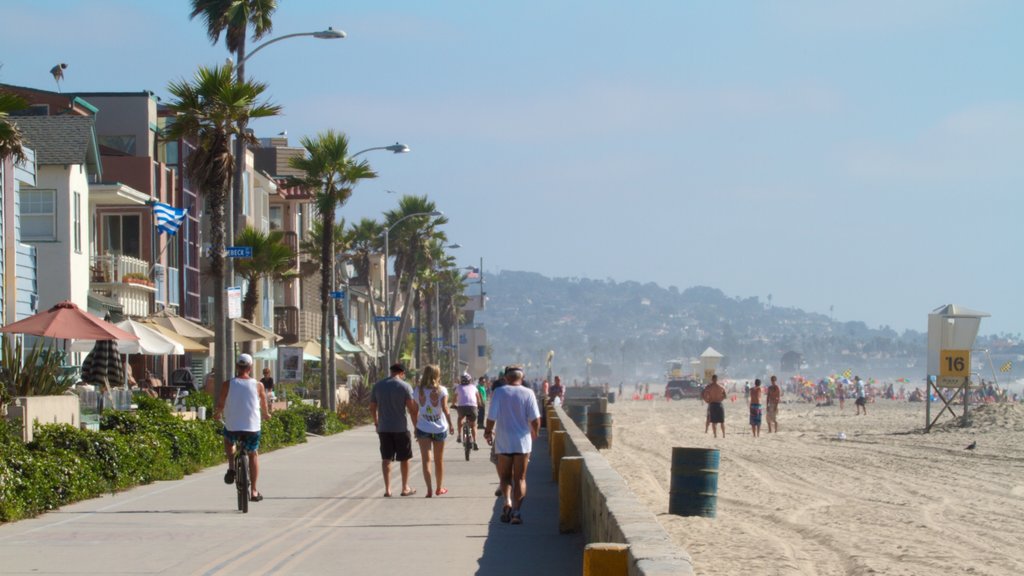 Mission Beach which includes tropical scenes, street scenes and a sandy beach