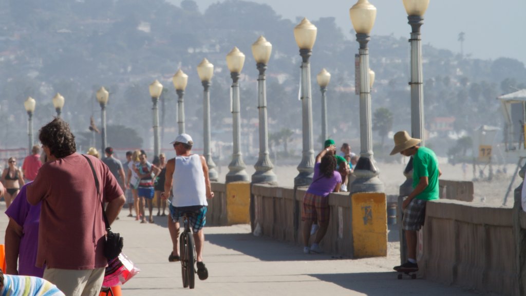 Mission Beach featuring cycling and street scenes