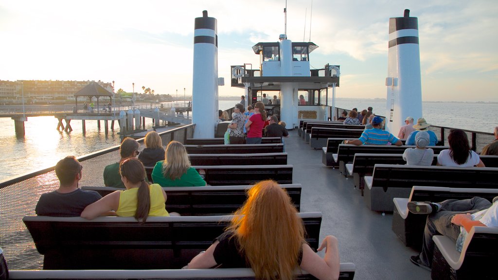 Navy Pier showing a marina