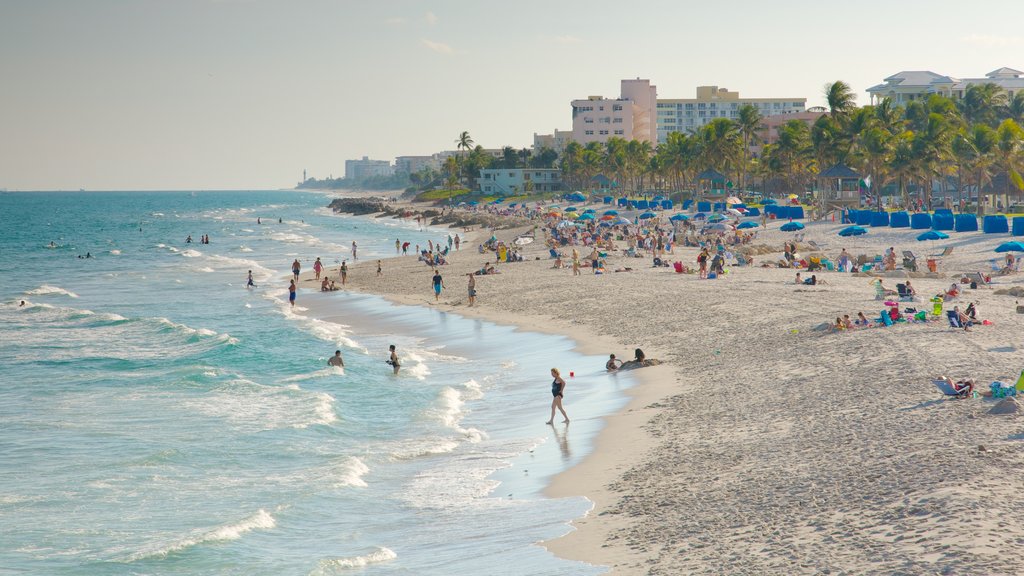 Deerfield Beach showing a sandy beach, skyline and tropical scenes