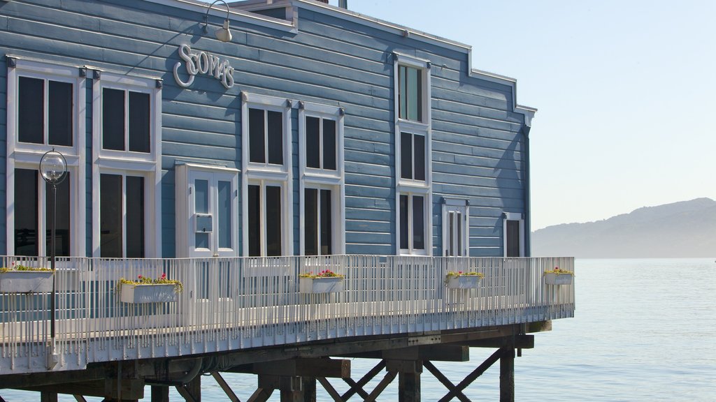 Sausalito som viser en kystby, en bugt eller havn og en sø eller et vandhul