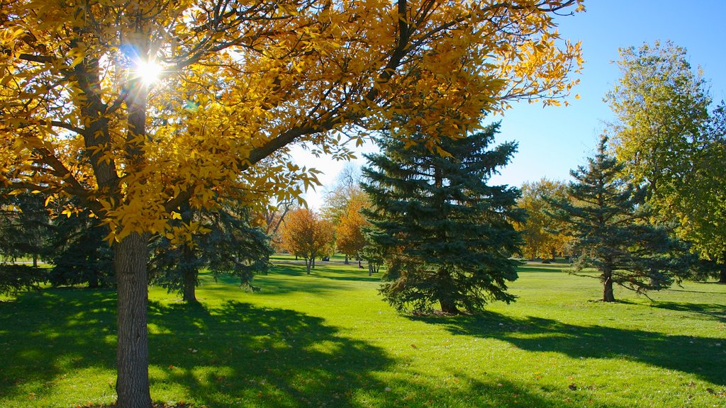 City Park que inclui paisagem, um jardim e folhas de outono