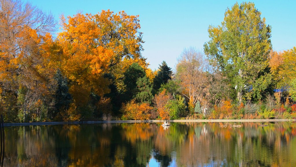 Parque de la Ciudad que incluye un lago o espejo de agua, vista panorámica y un estanque