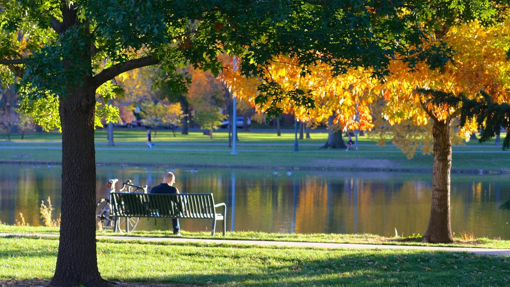 Parque de la Ciudad que incluye un parque, vistas de paisajes y un lago o abrevadero