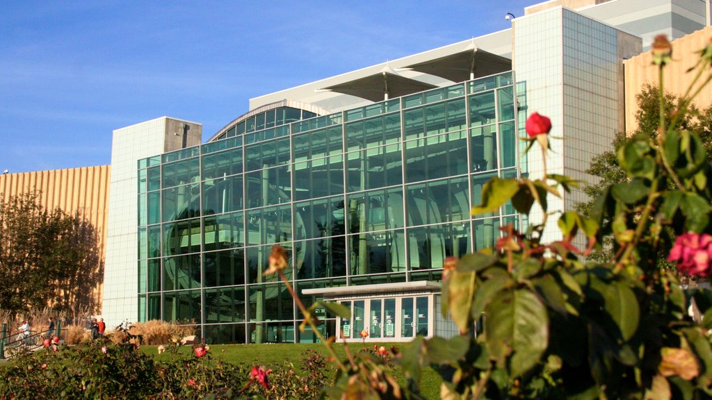 Denver Museum of Nature and Science montrant fleurs et ville