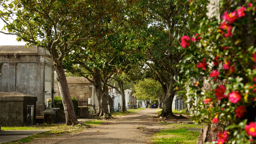 Cementerio de Lafayette mostrando un cementerio, flores y vista panorámica