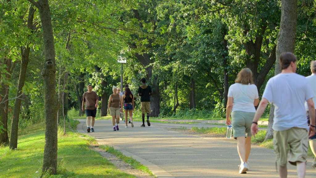 Lake Harriet showing a park and hiking or walking as well as a small group of people