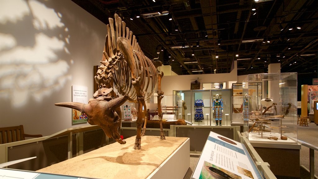 Science Museum of Minnesota showing interior views