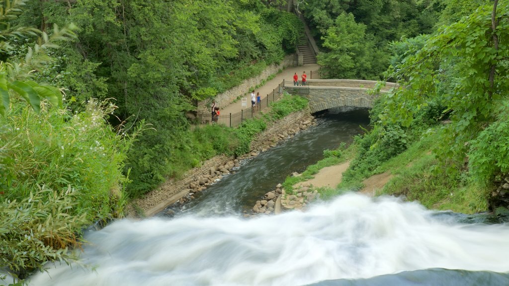 Taman Minnehaha