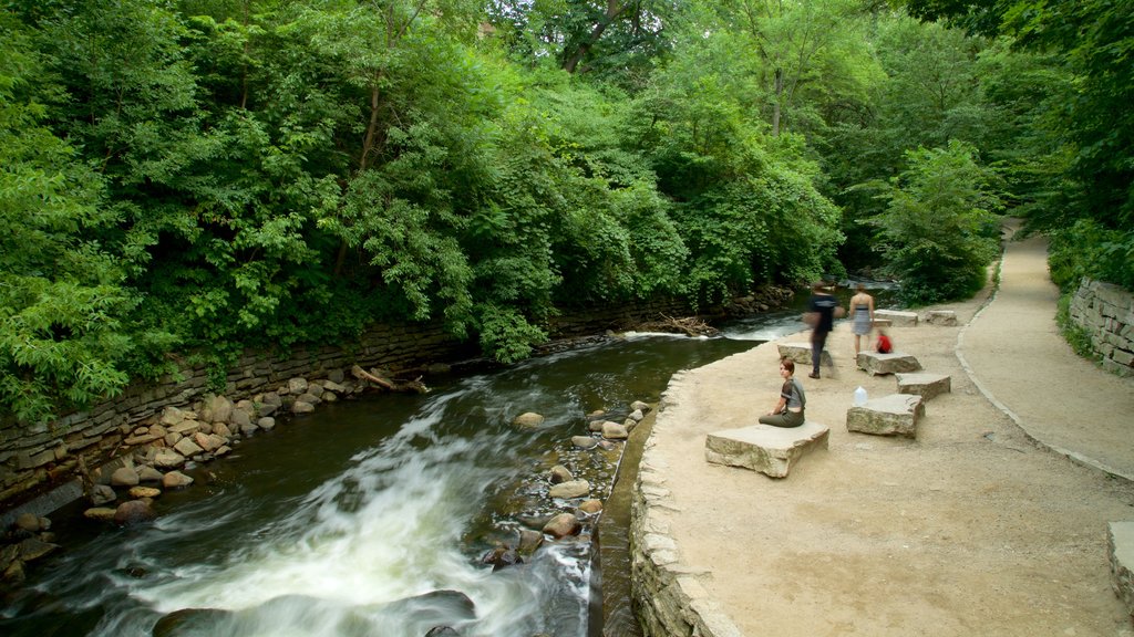 Minnehaha Park