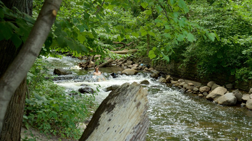 Minnehaha Park