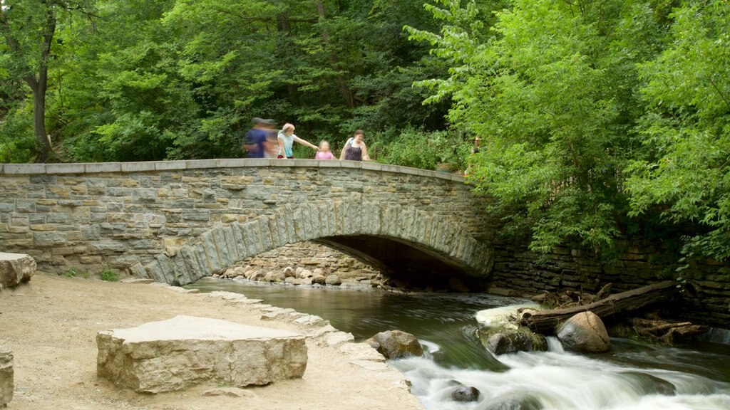 Minnehaha Park